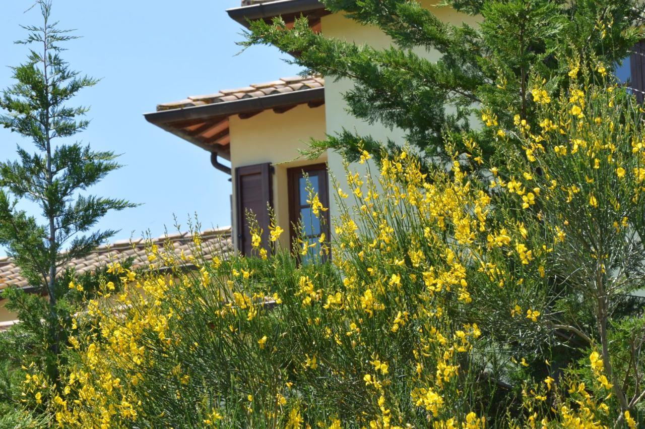 Agriturismo Corte Dainelli Montaione Exterior foto